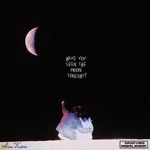 “Have You Seen The Moon Tonight?”的封面