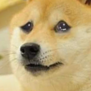 Kragehund
