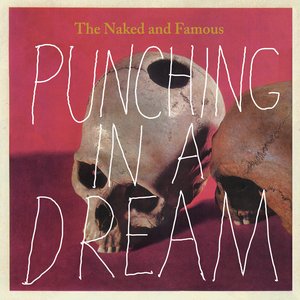 Image for 'Punching In A Dream'