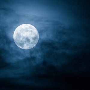 Image for 'A New Dawn'