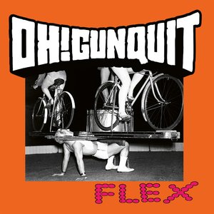 Image for 'Flex'