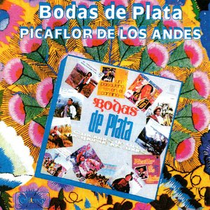 Image for 'Bodas de Plata'