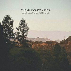 Immagine per 'Lost Cause Lover Fool'