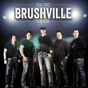 “Brushville”的封面