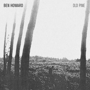 Image pour 'The Old Pine E.P.'