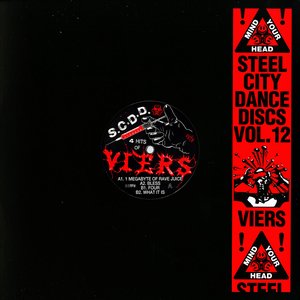 Image for 'Steel City Dance Discs Volume 12'