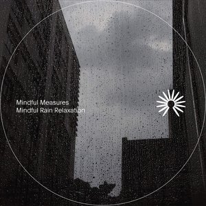 Image for 'Mindful Measures'