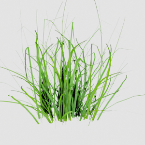 Grassgrowz