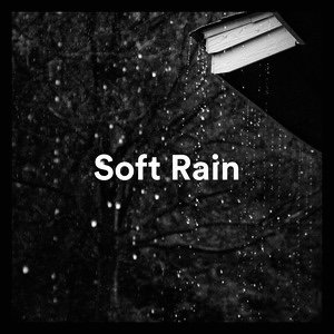 Image for 'Soft Soundscapes'