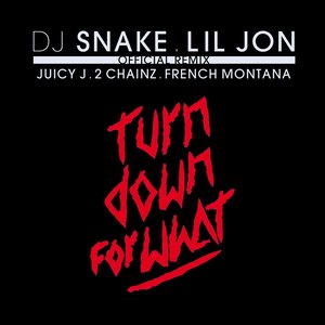 Image for 'Turn Down for What (feat. Juicy J, 2 Chainz & French Montana) [Official Remix]'