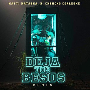 Image pour 'Deja Tus Besos (Remix)'