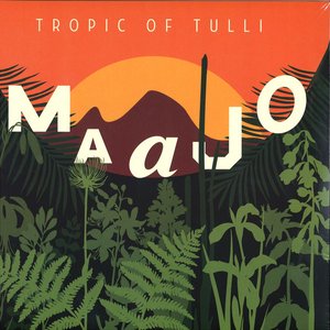 Image for 'Tropic Of Tulli'