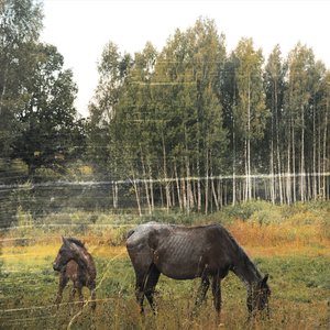 Bild för 'Old Pride'