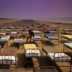 Image pour 'A Momentary Lapse of Reason'