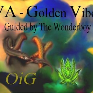 Image for 'Golden Vibes'