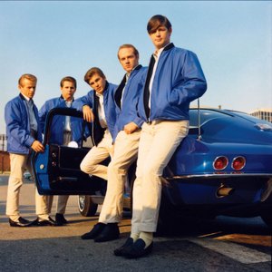 Image pour 'The Beach Boys'