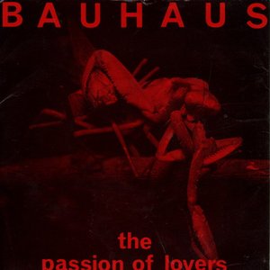 Immagine per 'The passion of lovers - single'