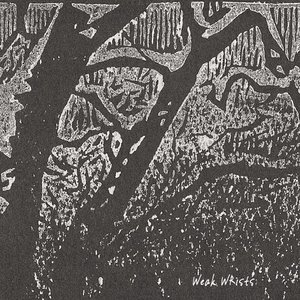 “Weak Wrists Demo”的封面