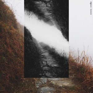 “Semillas”的封面
