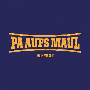 'PA AUFS MAUL (feat. Sido)' için resim