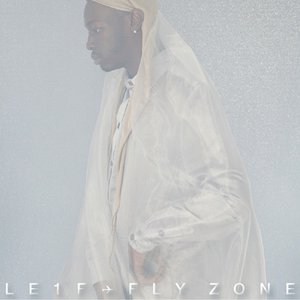 Image for 'Fly Zone'