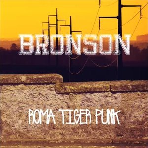 'Roma Tiger Punk'の画像