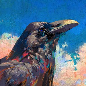 Image for '烏 - Raven'