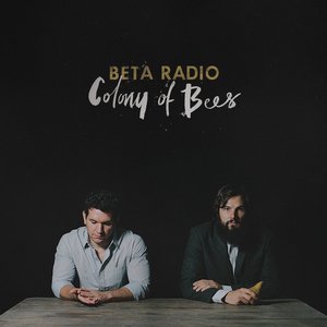 Immagine per 'Colony of Bees'