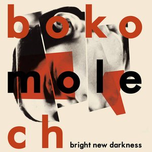 Image for 'Bright New Darkness'