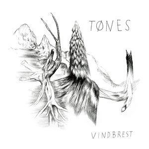 Image for 'Vindbrest'