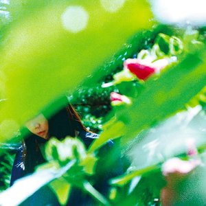 “Spring Lovers”的封面
