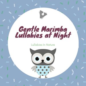 'Gentle Marimba Lullabies at Night' için resim