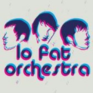 Immagine per 'Lo Fat Orchestra'