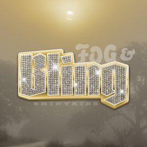 Image for 'Fog & Bling'