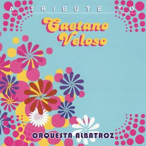 Image for 'A Tribute to Caetano Veloso'