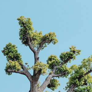 Image for 'Transient'