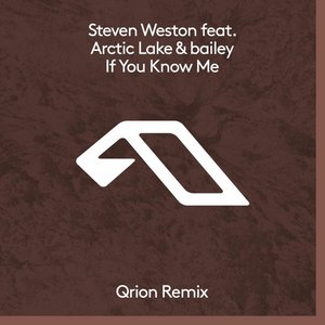 'If You Know Me (Qrion Remix)' için resim