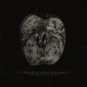 Imagem de 'Symphony of Dying'