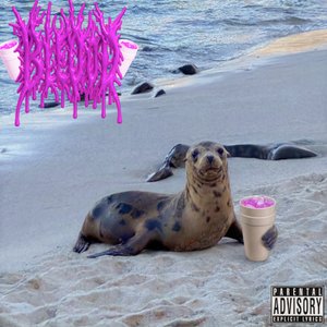 Bild för 'i <3 seals'