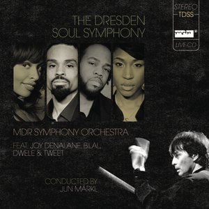 Image for 'The Dresden Soul Symphony'