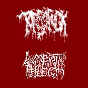 Изображение для 'Torsofuck / Lymphatic Phlegm'