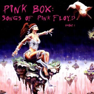 “Pink Box: Songs Of Pink Floyd”的封面