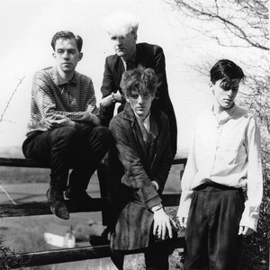 Image for 'And Also the Trees'