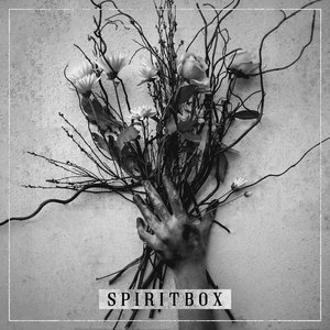Image for 'Spiritbox'