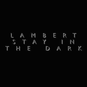 “Stay In The Dark”的封面
