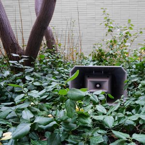 'Muzak for the Encouragement of Unproductivity'の画像