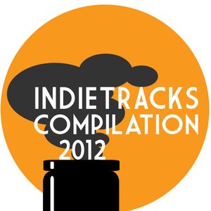 Image for 'Indietracks Compilation 2012'