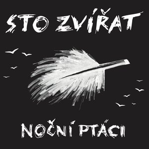 Image for 'Noční ptáci'