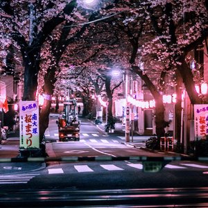 Image for 'Nathan Kawanishi'