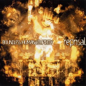 “Boundless Human Stupidity”的封面